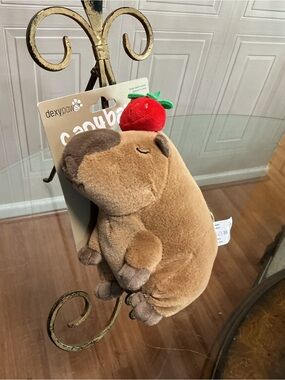Dexypaw  DANBAR  CAPYBARA with Strawberry on Top Dog Toy 8”clinker & Squeaker